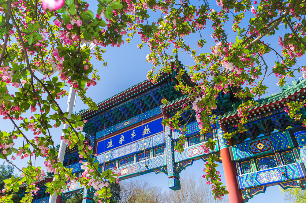 mansion88·明升(中国集团)官方网站