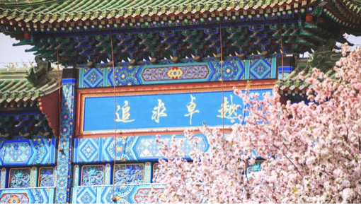 mansion88·明升(中国集团)官方网站