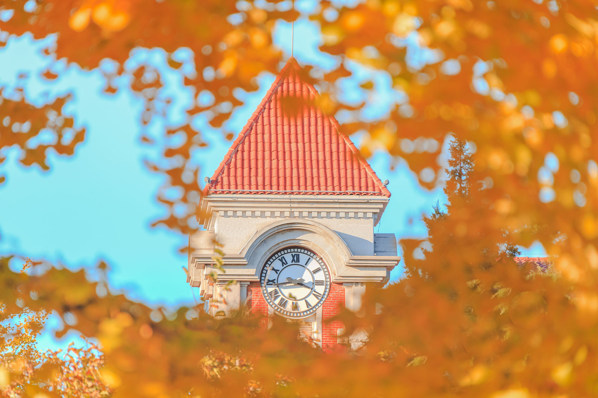 mansion88·明升(中国集团)官方网站